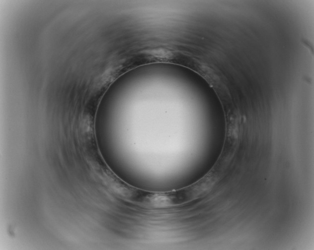 X0000099500518200805151434