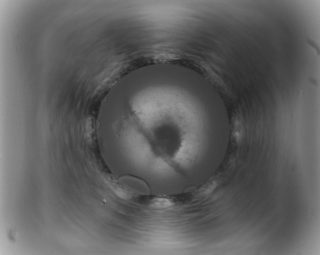 X0000099500519200805151434