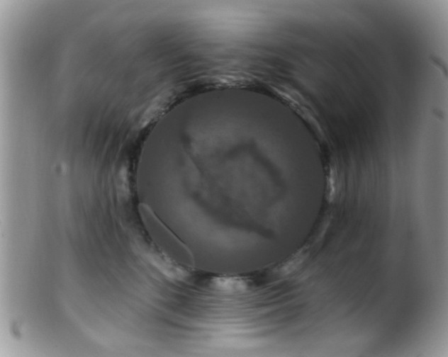 X0000099500520200805151434