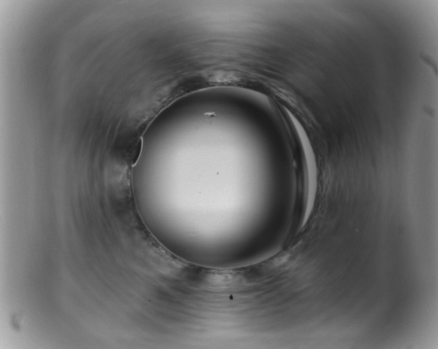 X0000099500521200805151434