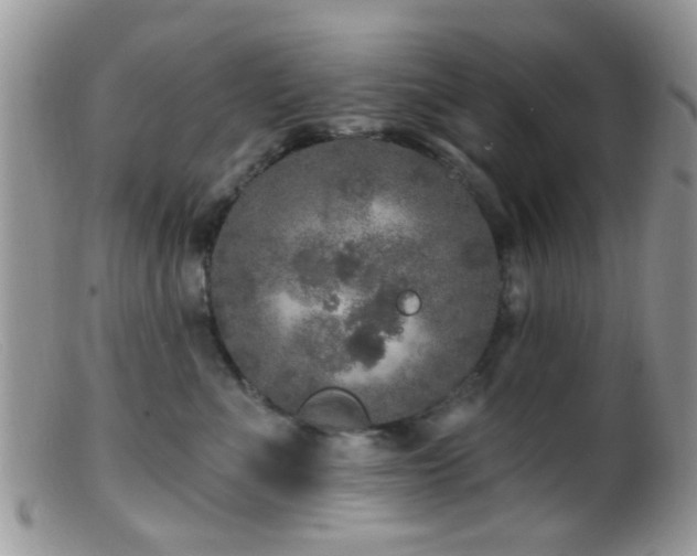 X0000099500523200805151434