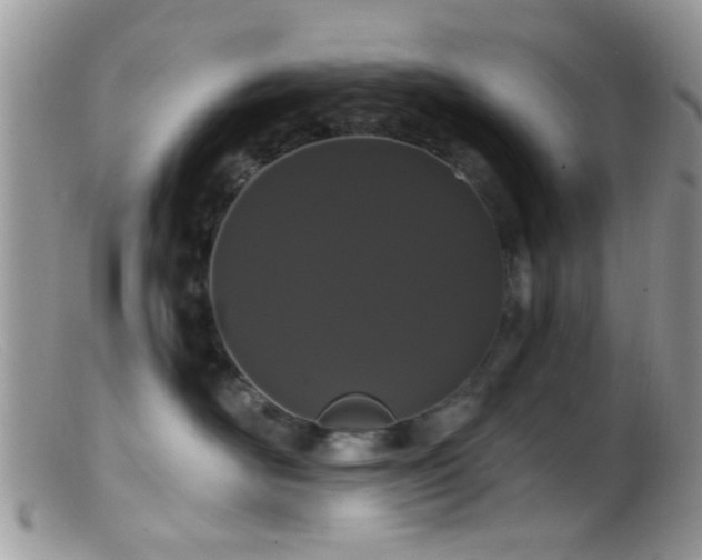 X0000099500526200805151434