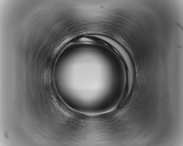 X0000099500530200805151433