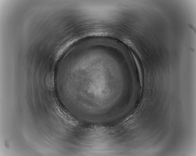 X0000099500531200805151433
