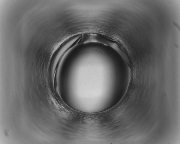 X0000099500532200805151433