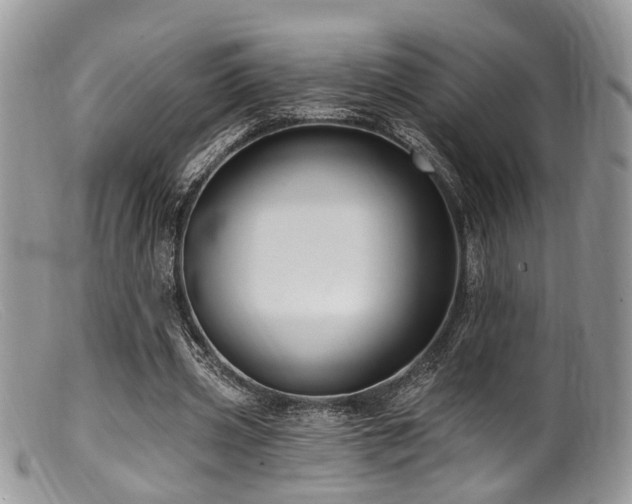 X0000099500533200805151433
