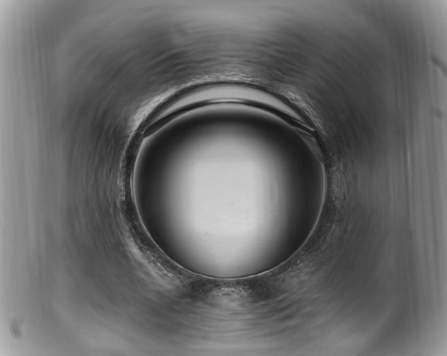 X0000099500536200805151433