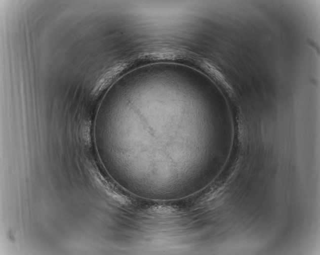 X0000099500537200805151433