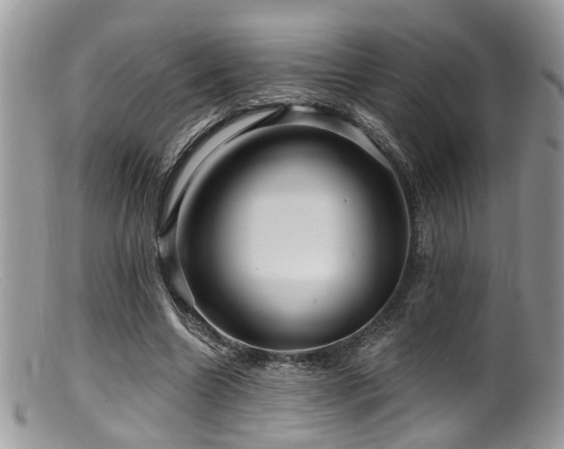 X0000099500538200805151433