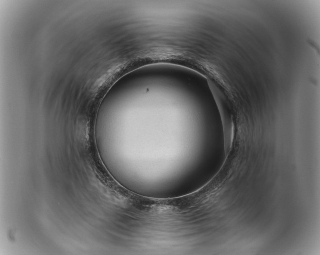 X0000099500539200805151433
