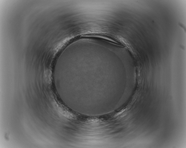 X0000099500540200805151433