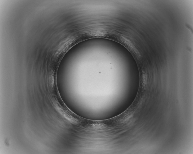 X0000099500541200805151433
