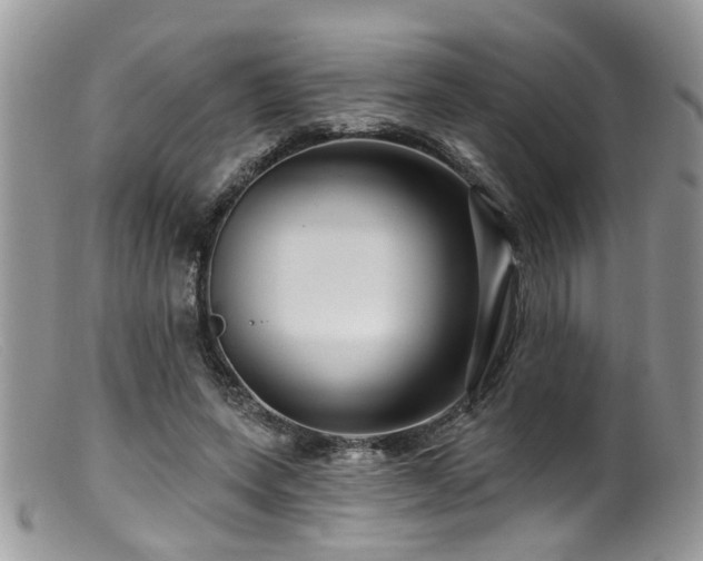 X0000099500543200805151433