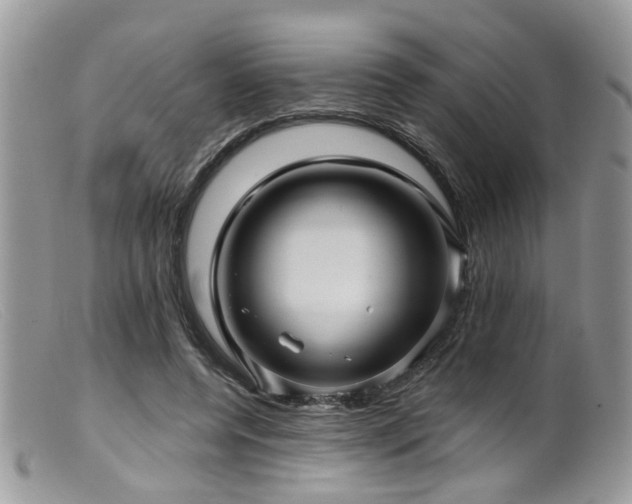 X0000099500544200805151433