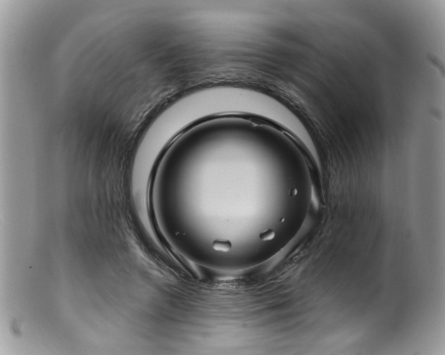 X0000099500546200805151433