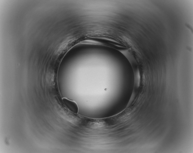 X0000099500548200805151433