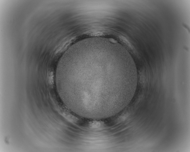 X0000099500549200805151433