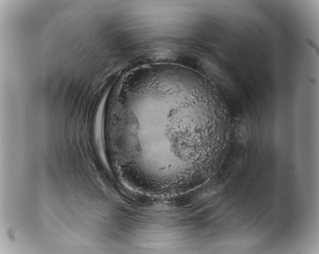 X0000099500550200805151433