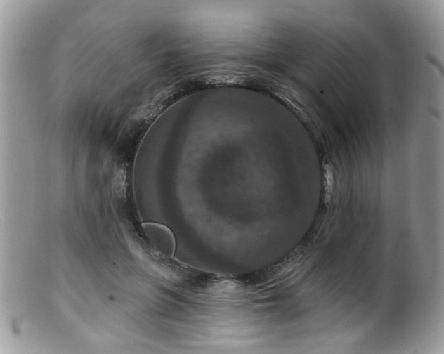 X0000099500551200805151433