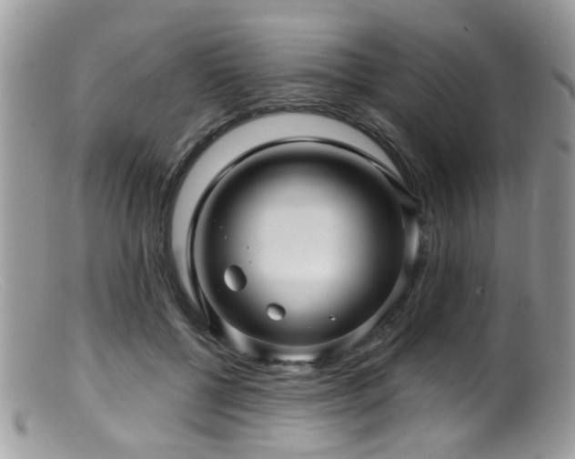 X0000099500552200805151433