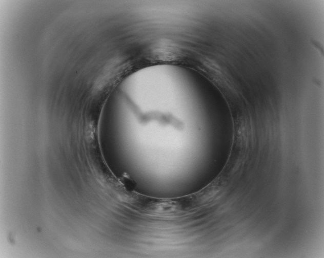 X0000099500555200805151433