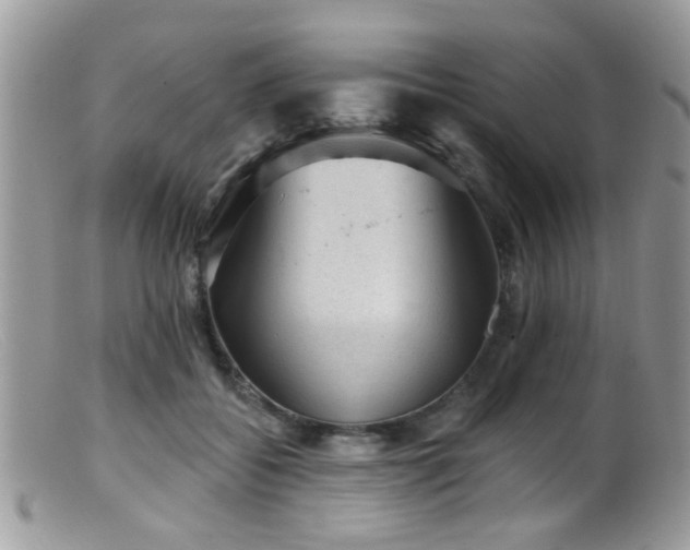 X0000099500556200805151433