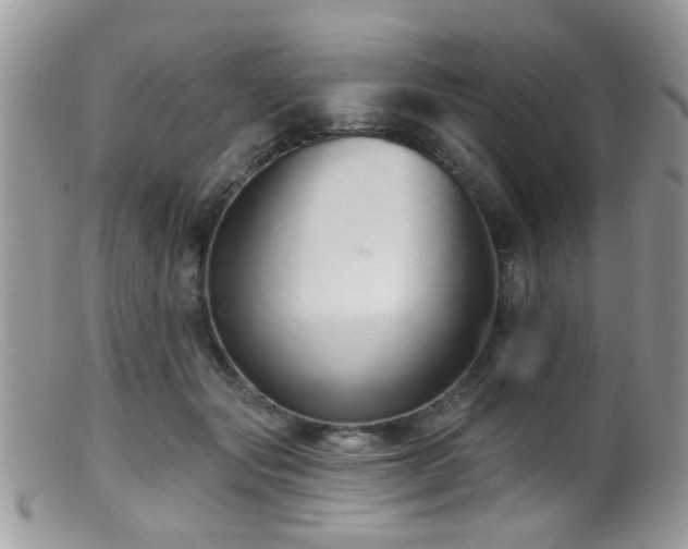 X0000099500557200805151433