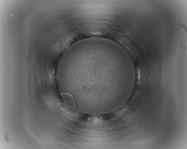X0000099500559200805151434