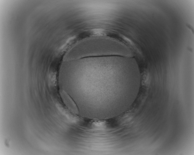 X0000099500560200805151434