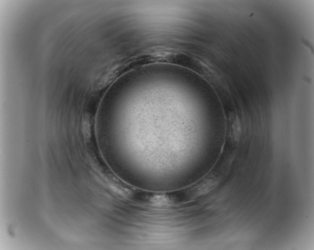 X0000099500562200805151434