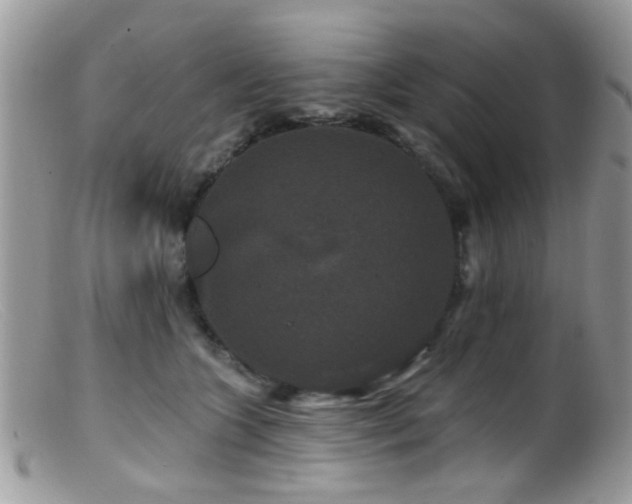 X0000099500563200805151434
