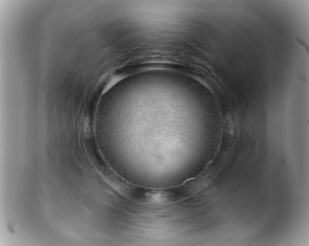 X0000099500564200805151434