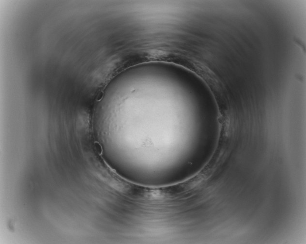 X0000099500565200805151434