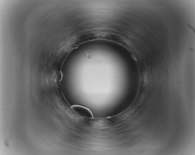 X0000099500567200805151434