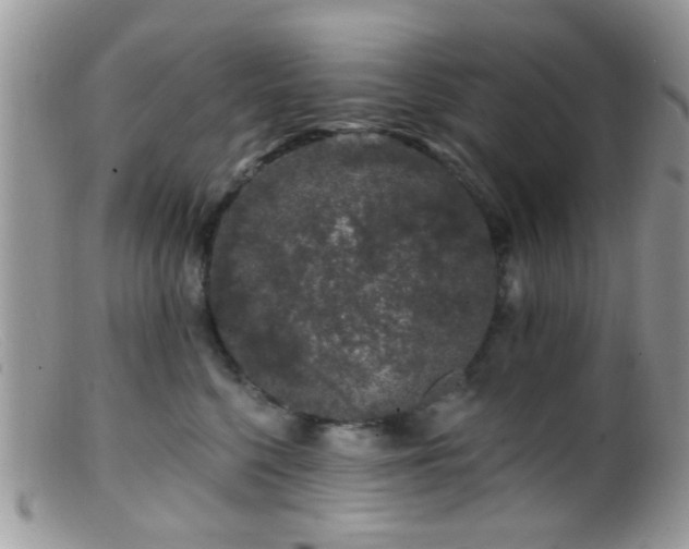 X0000099500568200805151434