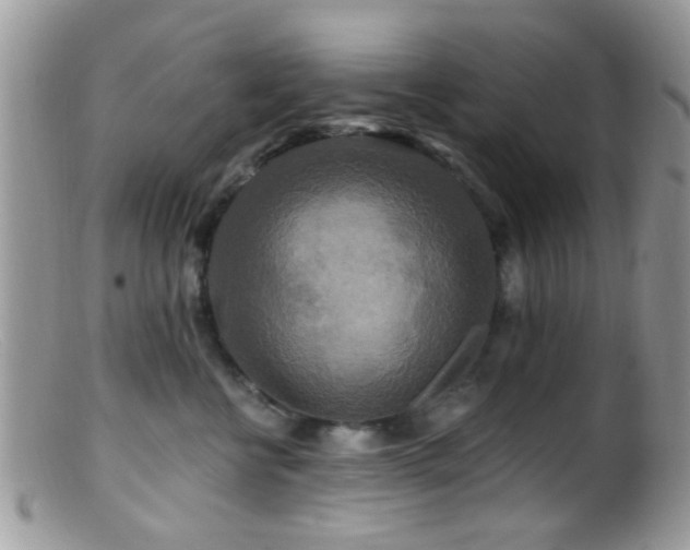 X0000099500570200805151434