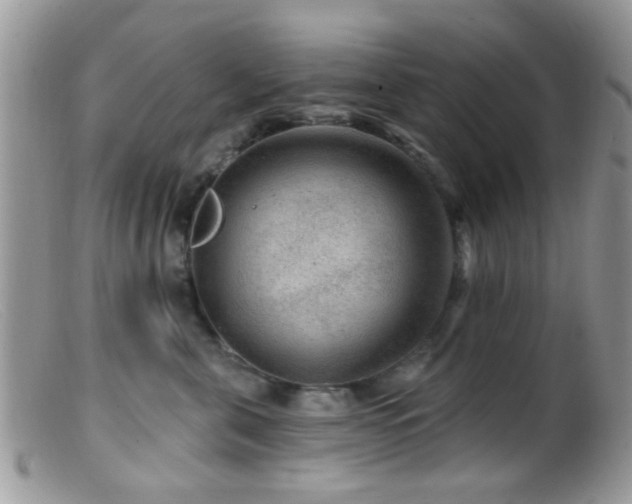 X0000099500571200805151434