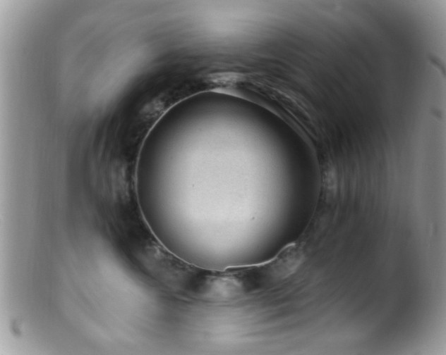 X0000099500572200805151434
