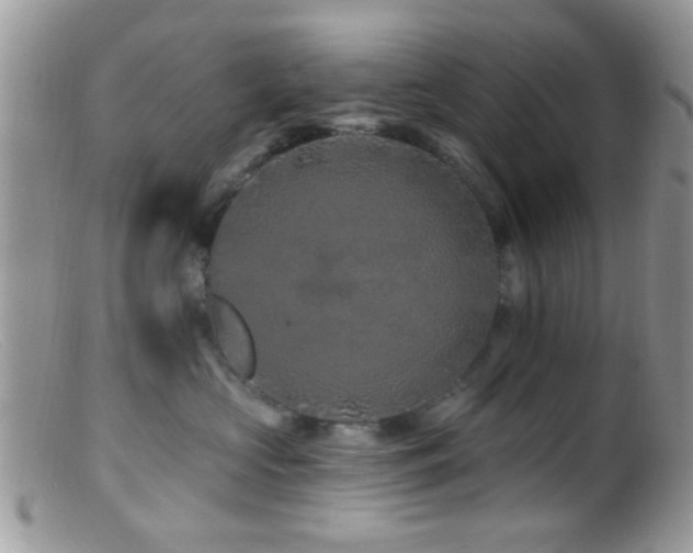 X0000099500573200805151434