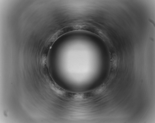 X0000099500574200805151434