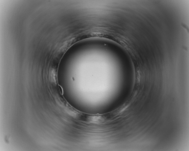 X0000099500575200805151434