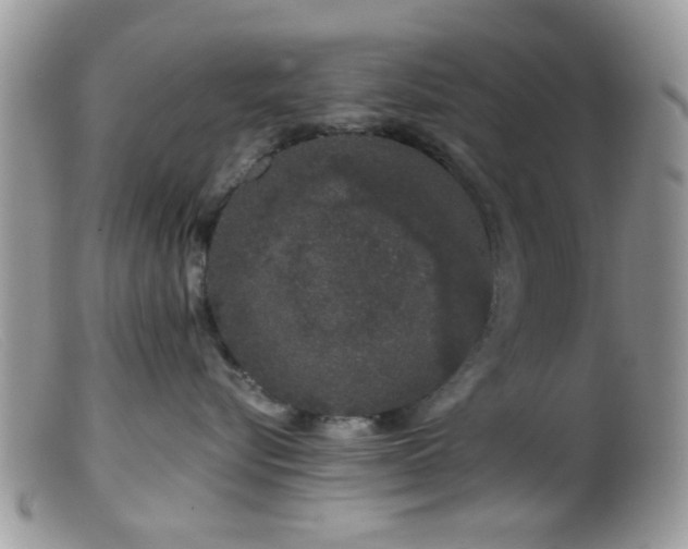 X0000099500576200805151434