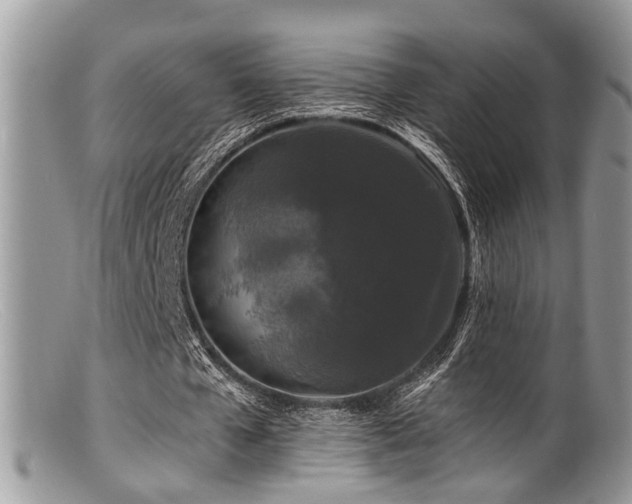 X0000099500577200805151433