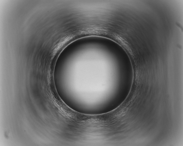 X0000099500578200805151433
