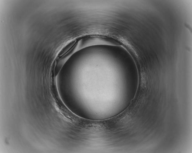 X0000099500580200805151433