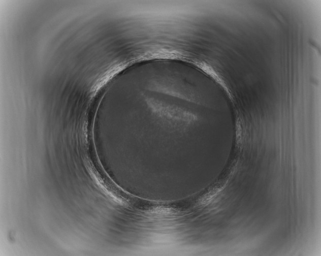X0000099500581200805151433