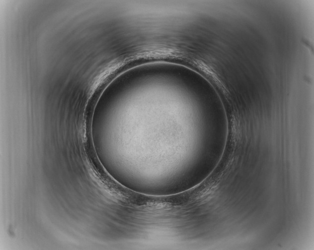 X0000099500582200805151433
