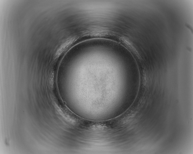 X0000099500586200805151433
