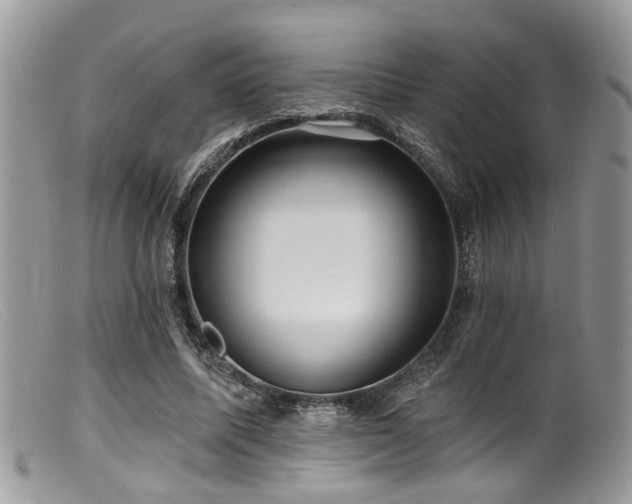 X0000099500587200805151433