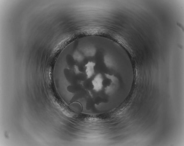 X0000099500590200805151433
